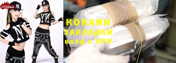 индика Медногорск