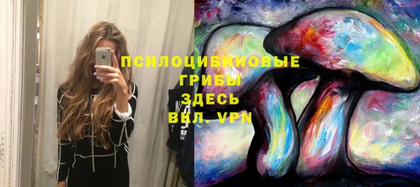 spice Михайлов