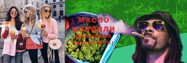 spice Михайлов
