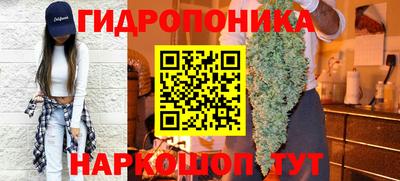 молекула духа Бийск