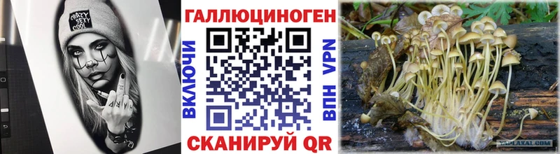 Галлюциногенные грибы MAGIC MUSHROOMS Зеленокумск