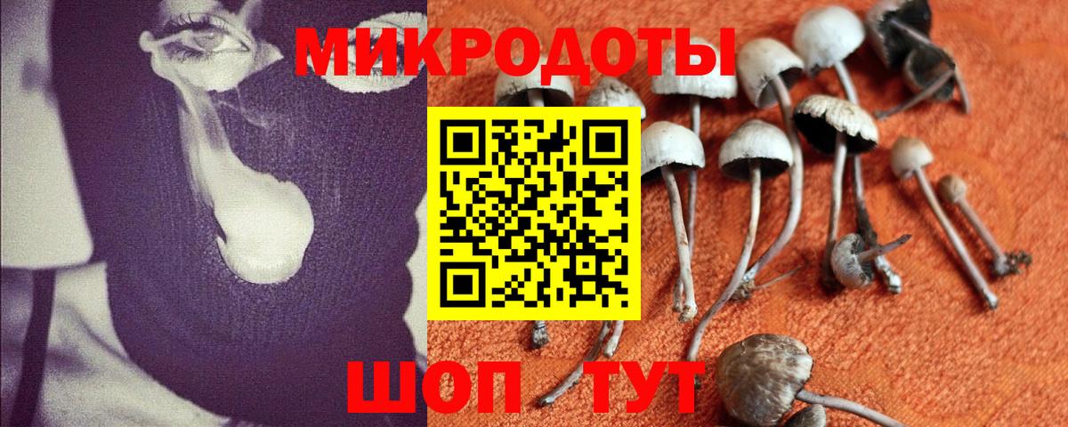 Псилоцибиновые грибы прущие грибы  Зеленокумск 