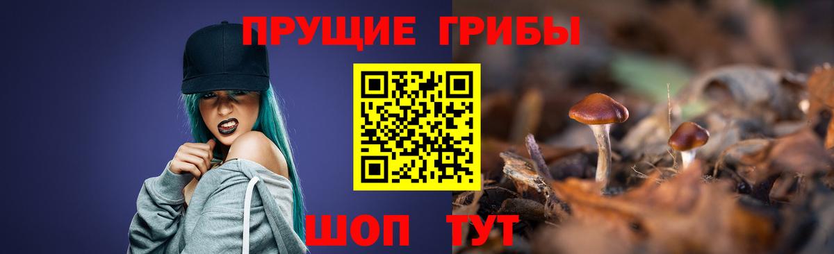 Псилоцибиновые грибы мицелий Зеленокумск